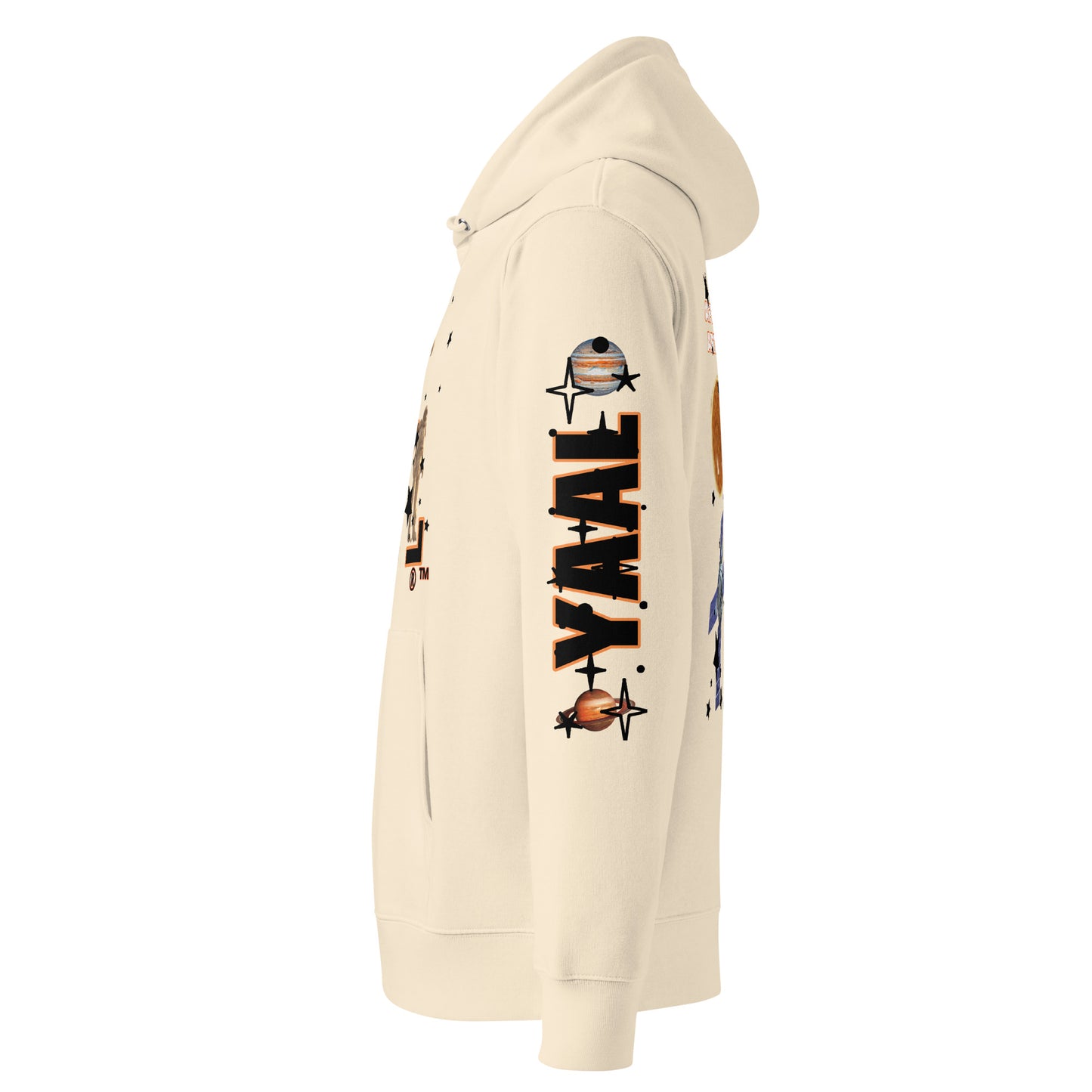 Artemis Project Hoodie