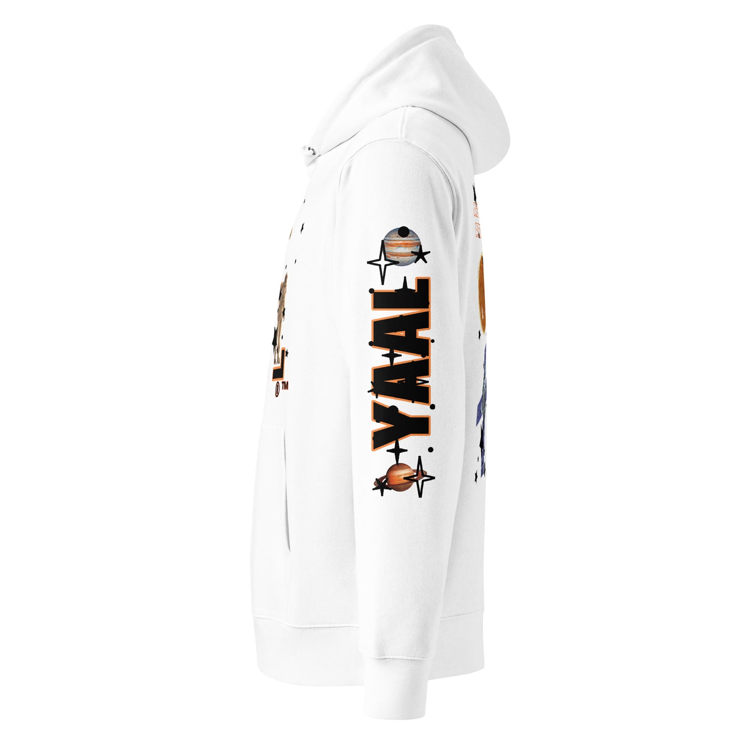 Artemis Project Hoodie